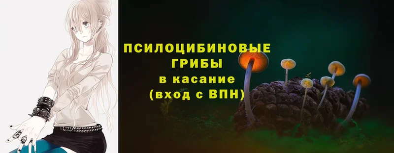 Галлюциногенные грибы MAGIC MUSHROOMS  Алдан 